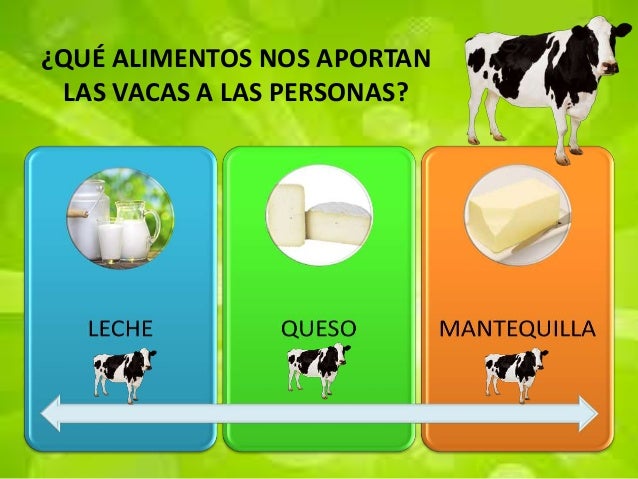 Las vacas presentación informatica