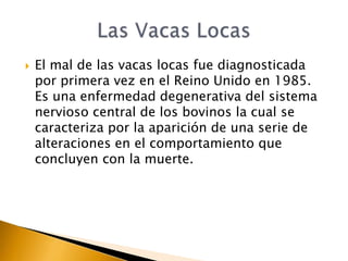    El mal de las vacas locas fue diagnosticada
    por primera vez en el Reino Unido en 1985.
    Es una enfermedad degenerativa del sistema
    nervioso central de los bovinos la cual se
    caracteriza por la aparición de una serie de
    alteraciones en el comportamiento que
    concluyen con la muerte.
 