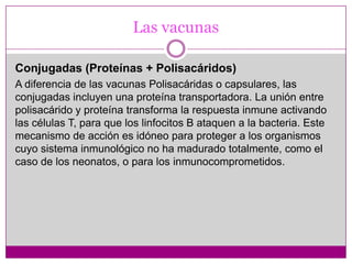 Recombinantes (Ingeniería Genética)Las vacunasA microorganismos vivos atenuadosSon preparaciones inmunógenas de virus o bacterias vivos, que alterados de tal manera que no resultan agresivos como para provocar la enfermedad pero sí una respuesta inmune importante. Ejemplos de ellas son las vacunas contra la polio, fiebre amarilla, sarampión, rubeola, parotiditis y tuberculosis.