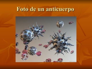 Foto de un anticuerpo   