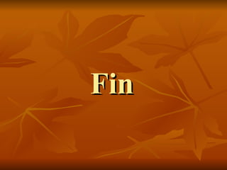Fin 