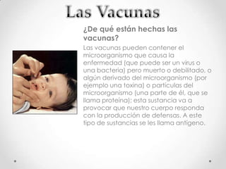 ¿De qué están hechas las
vacunas?
Las vacunas pueden contener el
microorganismo que causa la
enfermedad (que puede ser un virus o
una bacteria) pero muerto o debilitado, o
algún derivado del microorganismo (por
ejemplo una toxina) o partículas del
microorganismo (una parte de él, que se
llama proteína); esta sustancia va a
provocar que nuestro cuerpo responda
con la producción de defensas. A este
tipo de sustancias se les llama antígeno.
 