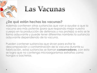 ¿De qué están hechas las vacunas?
Además contienen otras sustancias que van a ayudar a que la
vacuna sea más potente (para que responda mejor nuestro
cuerpo en la producción de defensas y nos proteja) a esto se le
llama adyuvante y puede tener diferentes nombres la sustancia
adyuvante dependiendo de la vacuna.

Pueden contener sustancias que sirvan para evitar la
descomposición y contaminación de la vacuna durante su
fabricación, estas sustancias se llaman conservadores, con esto
se logra que no contenga microorganismos extraños como
hongos o bacterias.
 