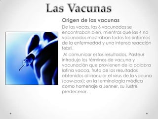 Origen de las vacunas
De las vacas, las 6 vacunadas se
encontraban bien, mientras que las 4 no
vacunadas mostraban todos los síntomas
de la enfermedad y una intensa reacción
febril.
 Al comunicar estos resultados, Pasteur
introdujo los términos de vacuna y
vacunación que provienen de la palabra
latina vacca, fruto de los resultados
obtenidos al inocular el virus de la vacuna
(cow-pox); en la terminología médica
como homenaje a Jenner, su ilustre
predecesor.
 