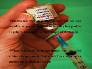 TIPOS DE VACUNAS
Inactivadas: microorganismos dañinos que han sido
tratados con productos químicos o calor y han perdido
su peligro. Es incapaz de reproducirse en el huésped.




Vivas atenuadas: microorganismos que han sido
cultivados expresamente bajo condiciones en las cuales
pierden sus propiedades nocivas
 