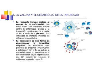 8. LA VACUNA Y EL DESARROLLO DE LA INMUNIDAD  La respuesta inmune protege al cuerpo de la enfermedad . Los niños nacen con inmunidad natural contra la enfermedad gracias a la transmisión e anticuerpos de la madre al feto a través de la  placenta.  Esta inmunidad se mantiene mientras los niños son amamantados. La Vacunación es una forma de desencadenar la inmunidad adquirida . Se administran dosis pequeñas de antígenos (virus muertos o debilitados) con el fin de activar la memoria inmune, un mecanismo en el que intervienen células especializadas que son capaces de reconocer al antígeno y responder contra él. 