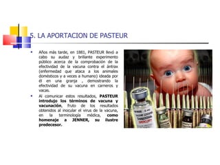 5. LA APORTACION DE PASTEUR Años más tarde, en 1881, PASTEUR llevó a cabo su audaz y brillante experimento público acerca de la comprobación de la efectividad de la vacuna contra el ántrax (enfermedad que ataca a los animales domésticos y a veces a humano) ideada por él en una granja , demostrando la efectividad de su vacuna en carneros y vacas. Al comunicar estos resultados,  PASTEUR introdujo los términos de vacuna y vacunación , fruto de los resultados obtenidos al inocular el virus de la vacuna, en la terminología médica,  como homenaje a JENNER, su ilustre predecesor. 
