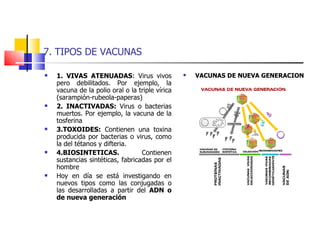 7. TIPOS DE VACUNAS 1. VIVAS ATENUADAS : Virus vivos pero debilitados. Por ejemplo, la vacuna de la polio oral o la triple vírica (sarampión-rubeola-paperas) 2. INACTIVADAS:  Virus o bacterias muertos. Por ejemplo, la vacuna de la tosferina 3.TOXOIDES:  Contienen una toxina producida por bacterias o virus, como la del tétanos y difteria. 4.BIOSINTETICAS.  Contienen sustancias sintéticas, fabricadas por el hombre  Hoy en día se está investigando en nuevos tipos como las conjugadas o las desarrolladas a partir del  ADN o de nueva generación VACUNAS DE NUEVA GENERACION 