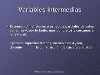 Variables Intermedias Expresan dimensiones o aspectos parciales de estas variables y, por lo tanto, más concretos y cercanos a la realidad. Ejemplo: Cipreses talados, en selva de Aysén, durante  la construcción de carretera austral 