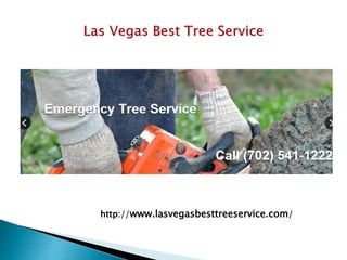 http://www.lasvegasbesttreeservice.com/ 
 