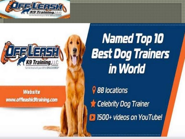 dog trainer las vegas