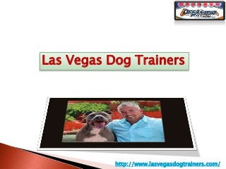 Las Vegas Dog Trainers
http://www.lasvegasdogtrainers.com/
 