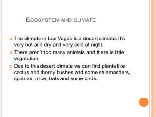 ECOSYSTEM AND CLIMATE
 The climate in Las Vegas is a desert climate. It’s
very hot and dry and very cold at night.
 There aren´t too many animals and there is little
vegetation.
 Due to this desert climate we can find plants like
cactus and thorny bushes and some salamanders,
iguanas, mice, bats and some birds.
 