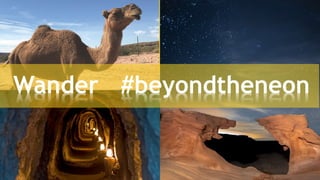 Wander #beyondtheneon
 