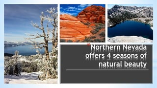 *Northern Nevada
offers 4 seasons of
natural beauty
 