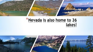 *Nevada is also home to 36
lakes!
 