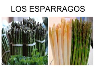 LOS ESPARRAGOS 