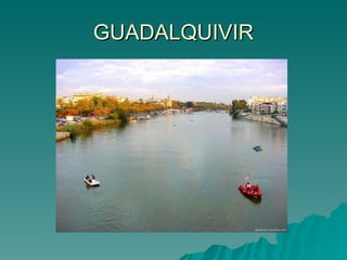 GUADALQUIVIR 