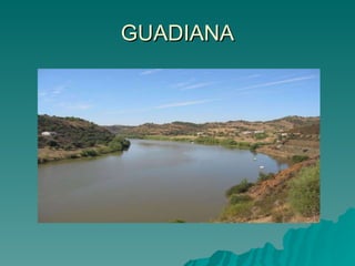 GUADIANA 