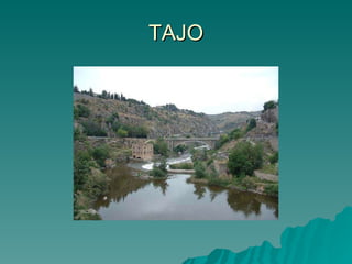 TAJO 