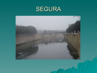 SEGURA 