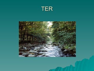 TER 