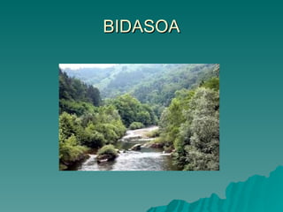 BIDASOA 