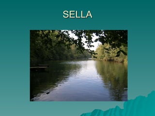 SELLA 