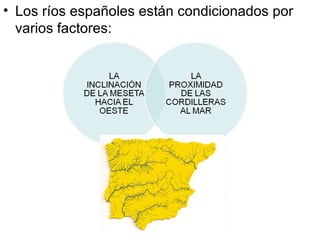 • Los ríos españoles están condicionados por
varios factores:

 