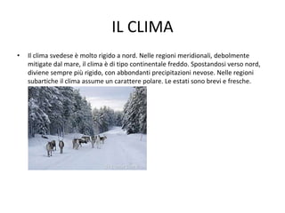 IL CLIMA
• Il clima svedese è molto rigido a nord. Nelle regioni meridionali, debolmente
mitigate dal mare, il clima è di tipo continentale freddo. Spostandosi verso nord,
diviene sempre più rigido, con abbondanti precipitazioni nevose. Nelle regioni
subartiche il clima assume un carattere polare. Le estati sono brevi e fresche.
 