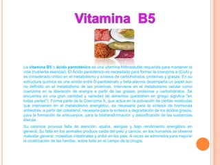 La vitamina B5 o ácido pantoténico es una vitamina hidrosoluble requerida para mantener la
vida (nutriente esencial). El Ácido pantoténico es necesitado para formar la coenzima a (CoA) y
es considerado crítico en el metabolismo y síntesis de carbohidratos, proteínas y grasas. En su
estructura química es una amida entre D-pantotenato y beta-alanina desempeña un papel aun
no definido en el metabolismo de las proteínas. Interviene en el metabolismo celular como
coenzima en la liberación de energía a partir de las grasas, proteínas y carbohidratos. Se
encuentra en una gran cantidad y variedad de alimentos (pantothen en griego significa "en
todas partes"). Forma parte de la Coenzima A, que actúa en la activación de ciertas moléculas
que intervienen en el metabolismo energético, es necesaria para la síntesis de hormonas
antiestrés, a partir del colesterol, necesaria para la síntesis y degradación de los ácidos grasos,
para la formación de anticuerpos, para la biotransformación y detoxificación de las sustancias
tóxicas.
Su carencia provoca falta de atención, apatía, alergias y bajo rendimiento energético en
general. Su falta en los animales produce caída del pelo y canicie; en los humanos se observa
malestar general, molestias intestinales y ardor en los pies. A veces se administra para mejorar
la cicatrización de las heridas, sobre todo en el campo de la cirugía.
 