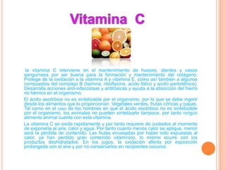 la vitamina C interviene en el mantenimiento de huesos, dientes y vasos
sanguíneos por ser buena para la formación y mantenimiento del colágeno.
Protege de la oxidación a la vitamina A y vitamina E, como así también a algunos
compuestos del complejo B (tiamina, riboflavina, acido fólico y acido pantoténico).
Desarrolla acciones anti-infecciosas y antitóxicas y ayuda a la absorción del hierro
no hémico en el organismo.
El ácido ascórbico no es sintetizable por el organismo, por lo que se debe ingerir
desde los alimentos que lo proporcionan: Vegetales verdes, frutas cítricas y papas.
Tal como en el caso de los hombres en que el ácido ascórbico no es sintetizable
por el organismo, los animales no pueden sintetizarlo tampoco, por tanto ningún
alimento animal cuenta con esta vitamina.
La vitamina C se oxida rapidamente y por tanto requiere de cuidados al momento
de exponerla al aire, calor y agua. Por tanto cuanto menos calor se aplique, menor
será la pérdida de contenido. Las frutas envasadas por haber sido expuestas al
calor, ya han perdido gran contenido vitamínico, lo mismo ocurre con los
productos deshidratados. En los jugos, la oxidación afecta por exposición
prolongada con el aire y por no conservarlos en recipientes oscuros.
 