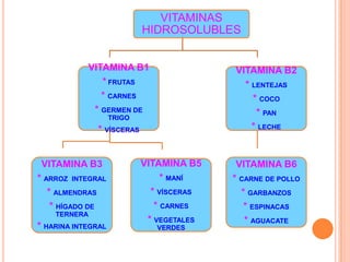 VITAMINAS
                            HIDROSOLUBLES


            VITAMINA B1                    VITAMINA B2
               * FRUTAS                      * LENTEJAS
               * CARNES                        * COCO
             * GERMEN DE                        * PAN
                    TRIGO
              * VÍSCERAS                       * LECHE


 VITAMINA B3                VITAMINA B5     VITAMINA B6
* ARROZ INTEGRAL                 * MANÍ    * CARNE DE POLLO
   * ALMENDRAS                * VÍSCERAS     * GARBANZOS
    * HÍGADO DE                * CARNES       * ESPINACAS
    TERNERA
                             * VEGETALES      * AGUACATE
* HARINA INTEGRAL              VERDES
 