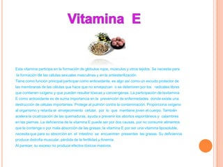 Esta vitamina participa en la formación de glóbulos rojos, músculos y otros tejidos. Se necesita para
la formación de las células sexuales masculinas y en la antiesterilización.
Tiene como función principal participar como antioxidante, es algo así como un escudo protector de
las membranas de las células que hace que no envejezcan o se deterioren por los radicales libres
que contienen oxígeno y que pueden resultar tóxicas y cancerígenas. La participación de lavitamina
E como antioxidante es de suma importancia en la prevención de enfermedades donde existe una
destrucción de células importantes. Protege al pulmón contra la contaminación. Proporciona oxígeno
al organismo y retarda el envejecimiento celular, por lo que mantiene joven el cuerpo. También
acelera la cicatrización de las quemaduras, ayuda a prevenir los abortos espontáneos y calambres
en las piernas. La deficiencia de la vitamina E puede ser por dos causas, por no consumir alimentos
que la contenga o por mala absorción de las grasas; la vitamina E por ser una vitamina liposoluble,
necesita que para su absorción en el intestino se encuentren presentes las grasas. Su deficiencia
produce distrofia muscular, pérdida de la fertilidad y Anemia.
Al parecer, su exceso no produce efectos tóxicos masivos.
 