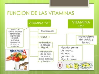 FUNCION DE LAS VITAMINAS
VITAMINA “A”
yema de
huevo, lácteos,
zanahorias,
espinacas
brócoli,
lechuga,
damascos,
duraznos,
melones

VITAMINA
“D”

Crecimiento

Metabolismo
del calcio y
fosforo

visión
antioxidant
e natural
Hígado
hidratación
de la piel,
mucosas,
pelo, dientes
y huesos

Hígado, yema
de huevo,
lácteos,
germen de
trigo, luz solar

 