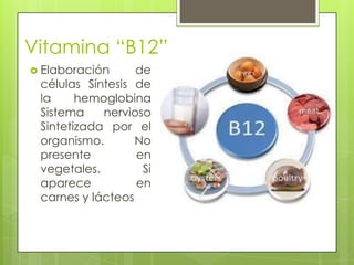 Vitamina “B12”
 Elaboración

de
células Síntesis de
la
hemoglobina
Sistema
nervioso
Sintetizada por el
organismo.
No
presente
en
vegetales.
Si
aparece
en
carnes y lácteos

 