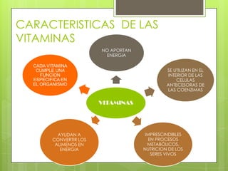 CARACTERISTICAS DE LAS
VITAMINAS
NO APORTAN
ENERGIA
CADA VITAMINA
CUMPLE UNA
FUNCION
ESPECIFICA EN
EL ORGANISMO

SE UTILIZAN EN EL
INTERIOR DE LAS
CELULAS
ANTECESORAS DE
LAS COENZIMAS

VITAMINAS

AYUDAN A
CONVERTIR LOS
ALIMENOS EN
ENERGIA

IMPRESCINDIBLES
EN PROCESOS
METABÓLICOS,
NUTRICION DE LOS
SERES VIVOS

 