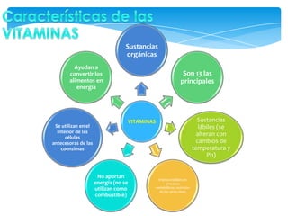 Sustancias
orgánicas
Ayudan a
convertir los
alimentos en
energía

Se utilizan en el
interior de las
células
antecesoras de las
coenzimas

Son 13 las
principales

VITAMINAS

No aportan
energía (no se
utilizan como
combustible)

Imprescindibles en
procesos
metabólicos, nutrición
de los seres vivos

Sustancias
lábiles (se
alteran con
cambios de
temperatura y
Ph)

 