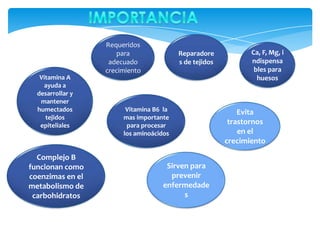 Requeridos
para
adecuado
crecimiento
Vitamina A
ayuda a
desarrollar y
mantener
humectados
tejidos
epiteliales

Complejo B
funcionan como
coenzimas en el
metabolismo de
carbohidratos

Reparadore
s de tejidos

Vitamina B6 la
mas importante
para procesar
los aminoácidos

Sirven para
prevenir
enfermedade
s

Ca, F, Mg, i
ndispensa
bles para
huesos

Evita
trastornos
en el
crecimiento

 