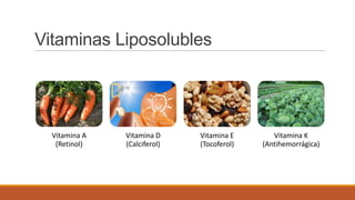 Vitaminas Liposolubles
Vitamina A
(Retinol)
Vitamina D
(Calciferol)
Vitamina E
(Tocoferol)
Vitamina K
(Antihemorrágica)
 