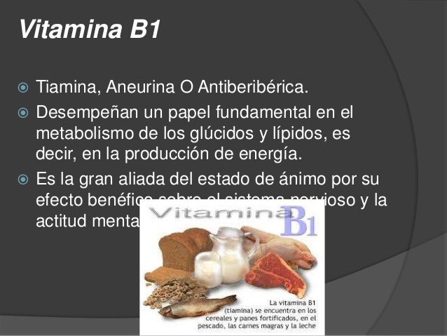 Prueba Metabolismo y nutricion