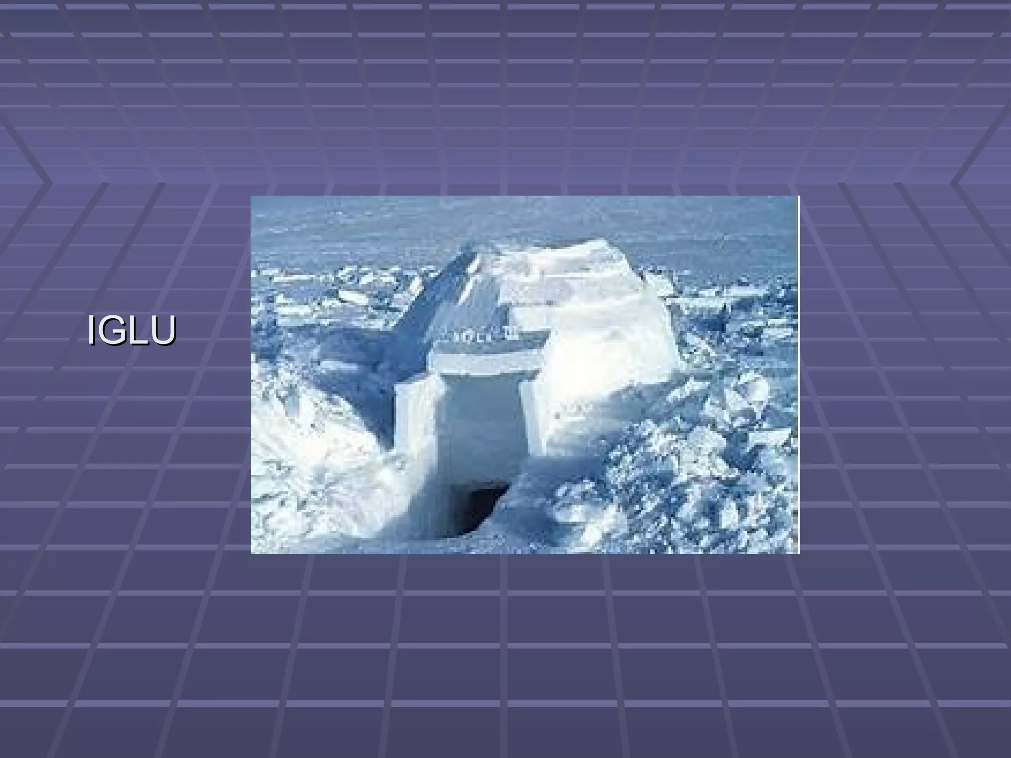 IGLUIGLU
 
