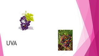 UVA
 