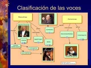 Clasificación de las voces
 