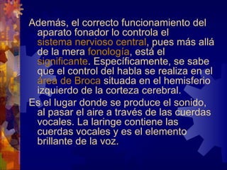 Además, el correcto funcionamiento del
 aparato fonador lo controla el
 sistema nervioso central, pues más allá
 de la mera fonología, está el
 significante. Específicamente, se sabe
 que el control del habla se realiza en el
 área de Broca situada en el hemisferio
 izquierdo de la corteza cerebral.
Es el lugar donde se produce el sonido,
 al pasar el aire a través de las cuerdas
 vocales. La laringe contiene las
 cuerdas vocales y es el elemento
 brillante de la voz.
 