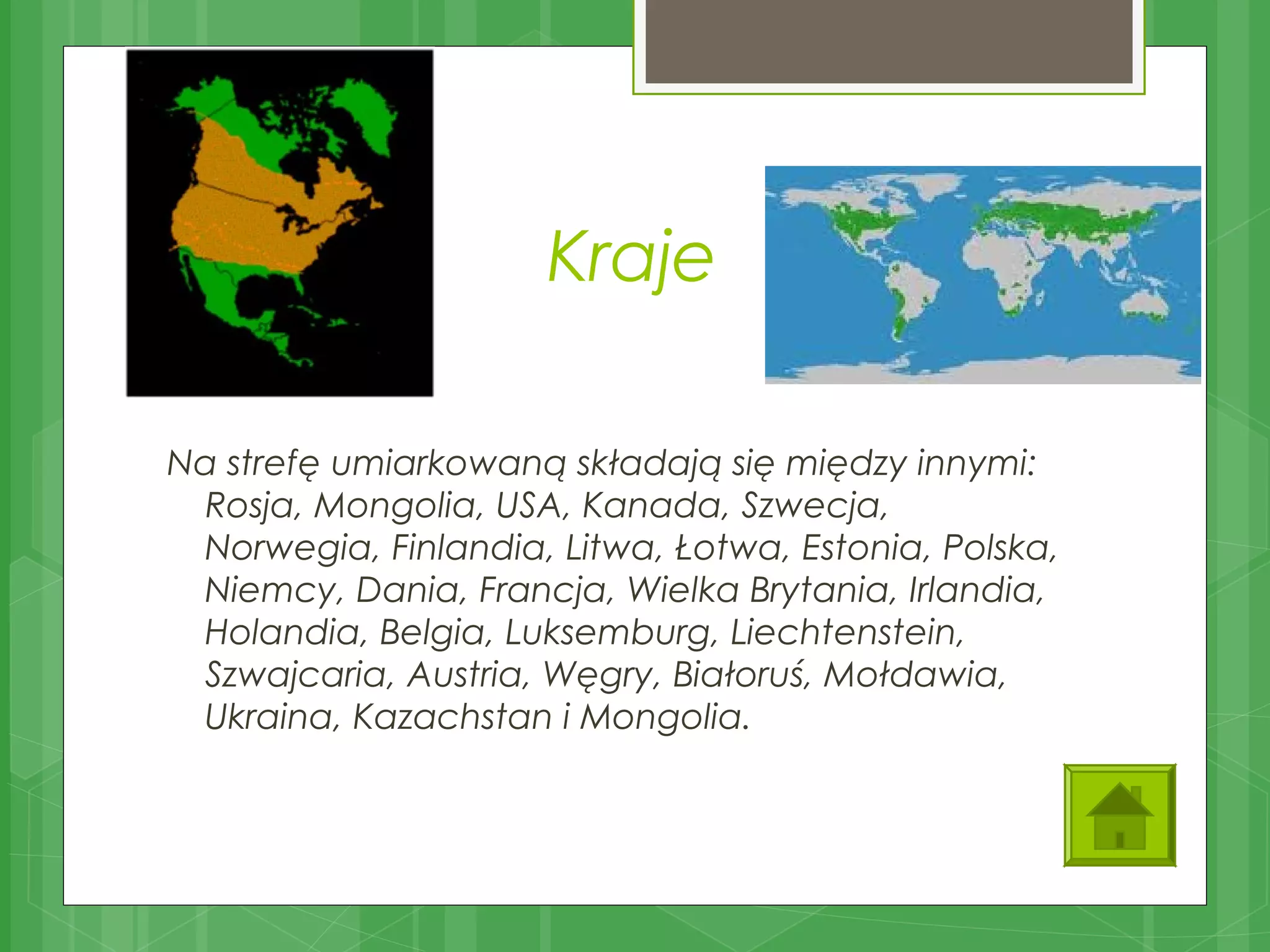 lasy-strefy-umiarkowanej-pps