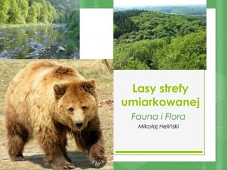 Lasy strefy
umiarkowanej
 Fauna i Flora
  Mikołaj Heliński
 