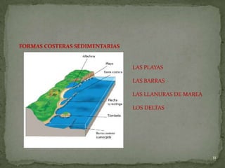 11
FORMAS COSTERAS SEDIMENTARIAS
LAS PLAYAS
LAS BARRAS
LAS LLANURAS DE MAREA
LOS DELTAS
 