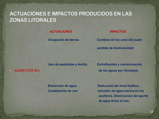 ACTUACIONES IMPACTOS
Ocupación de tierras Cambios de los usos del suelo
pérdida de biodiversidad
Uso de pesticidas y fertiliz. Eutrofización y contaminación
 AGRICULTURA de las aguas por lixiviados.
Extracción de agua. Reducción del nivel freático,
Canalización de ríos intrusión de agua marina en los
acuíferos. Disminución del aporte
de agua dulce al mar.
22
 
