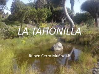 LA TAHONILLA
Rubén Cerro Muñoz 4B
 